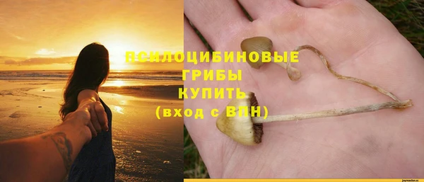 PSILOCYBIN Богородск