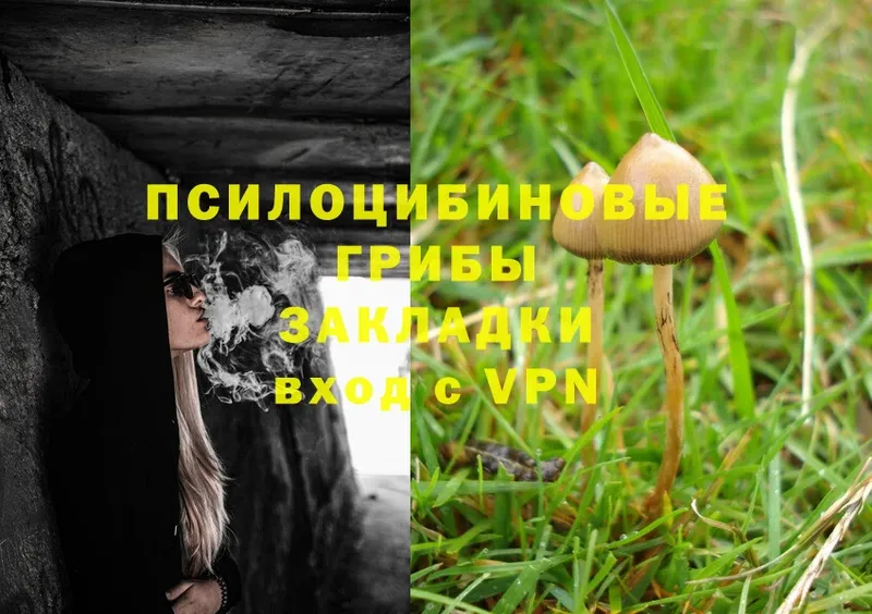 Псилоцибиновые грибы Magic Shrooms  Кудрово 